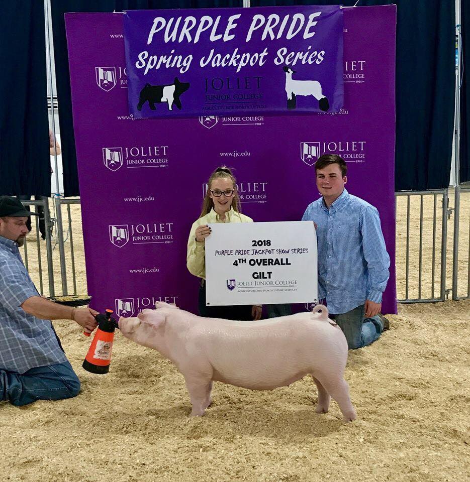 Show Cattle Feed & Supplements ShowRite