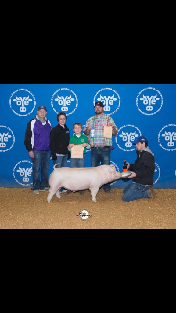 Show Cattle Feed & Supplements ShowRite