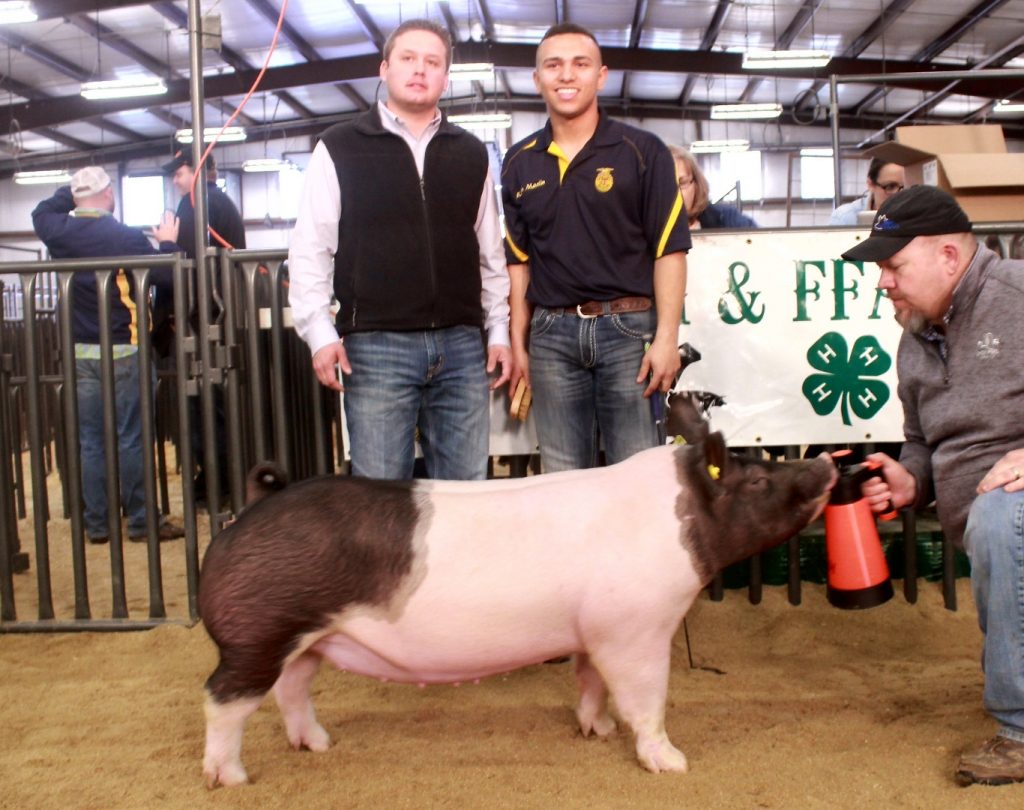 Show Cattle Feed & Supplements ShowRite