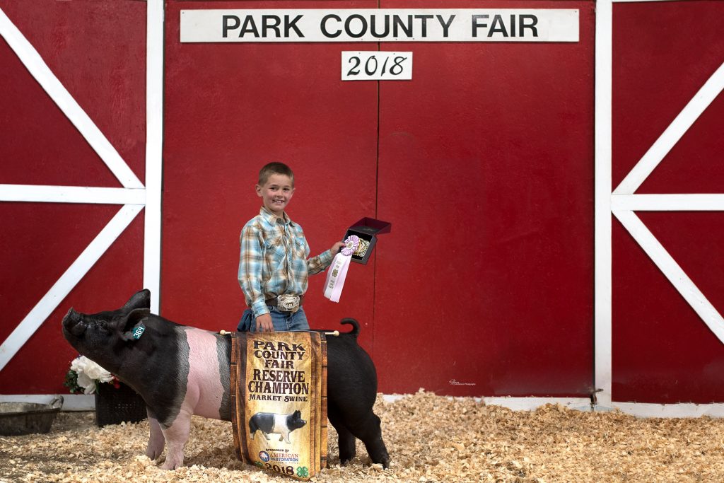 Show Cattle Feed & Supplements ShowRite