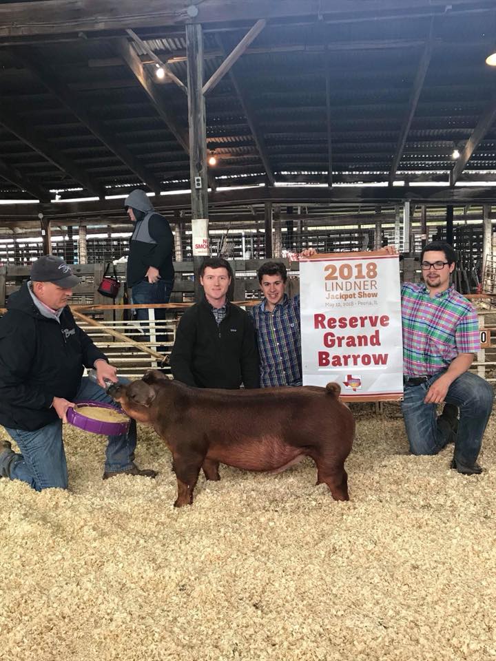 Show Cattle Feed & Supplements ShowRite