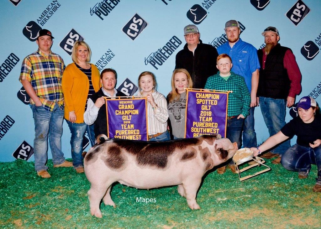 Show Cattle Feed & Supplements ShowRite