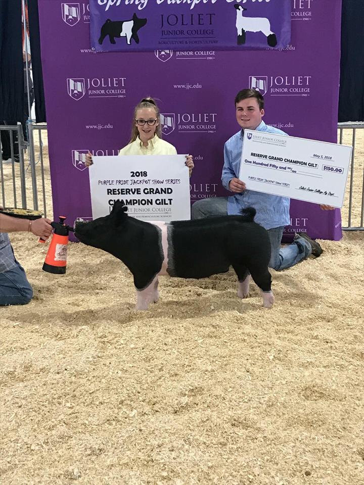 Show Cattle Feed & Supplements ShowRite