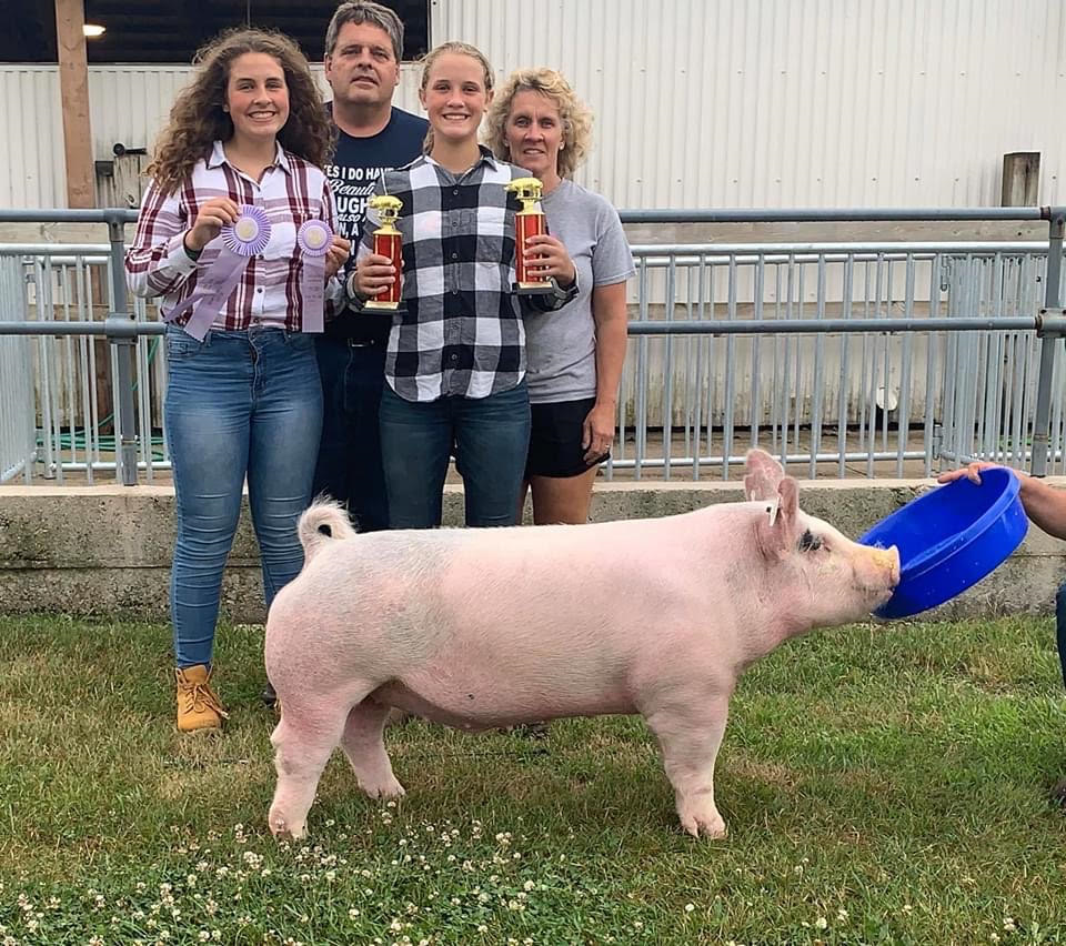 Show Cattle Feed & Supplements ShowRite