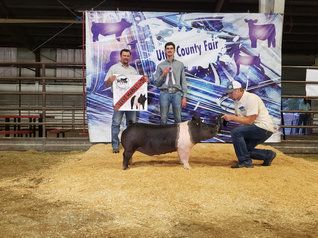 Show Cattle Feed & Supplements ShowRite