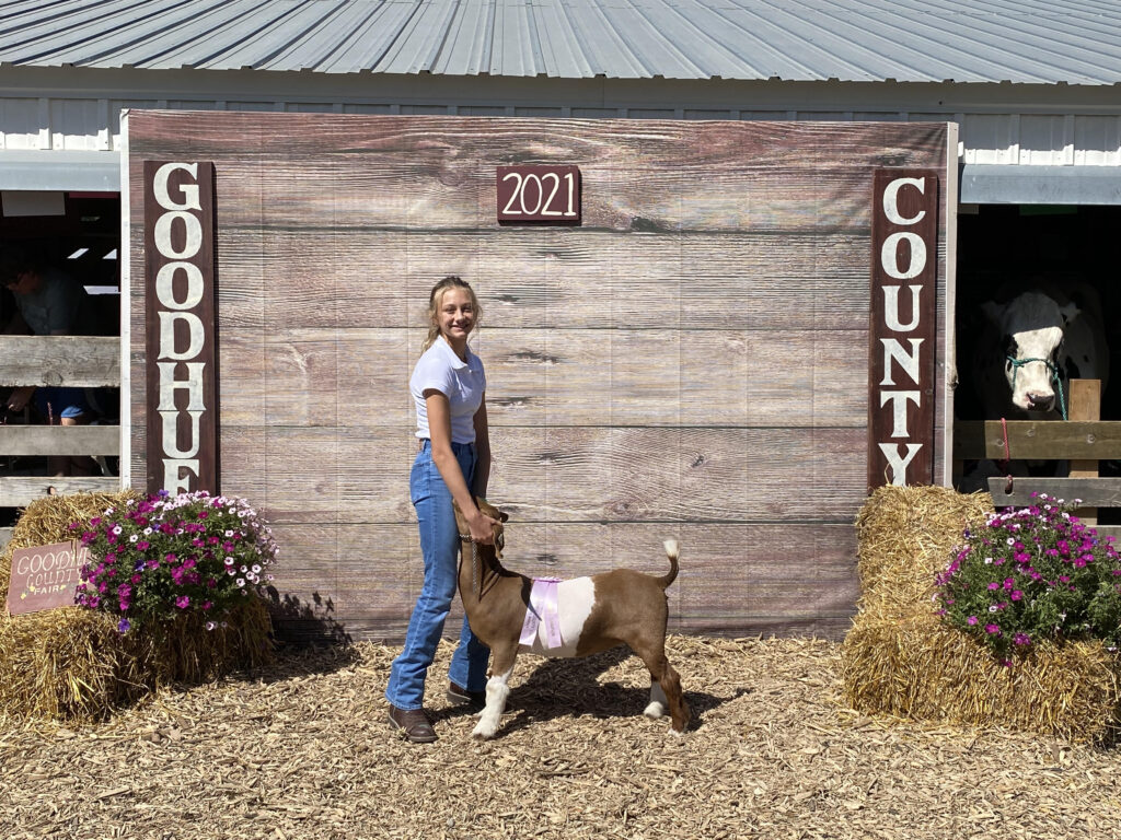 2021 Pig Champions ShowRite