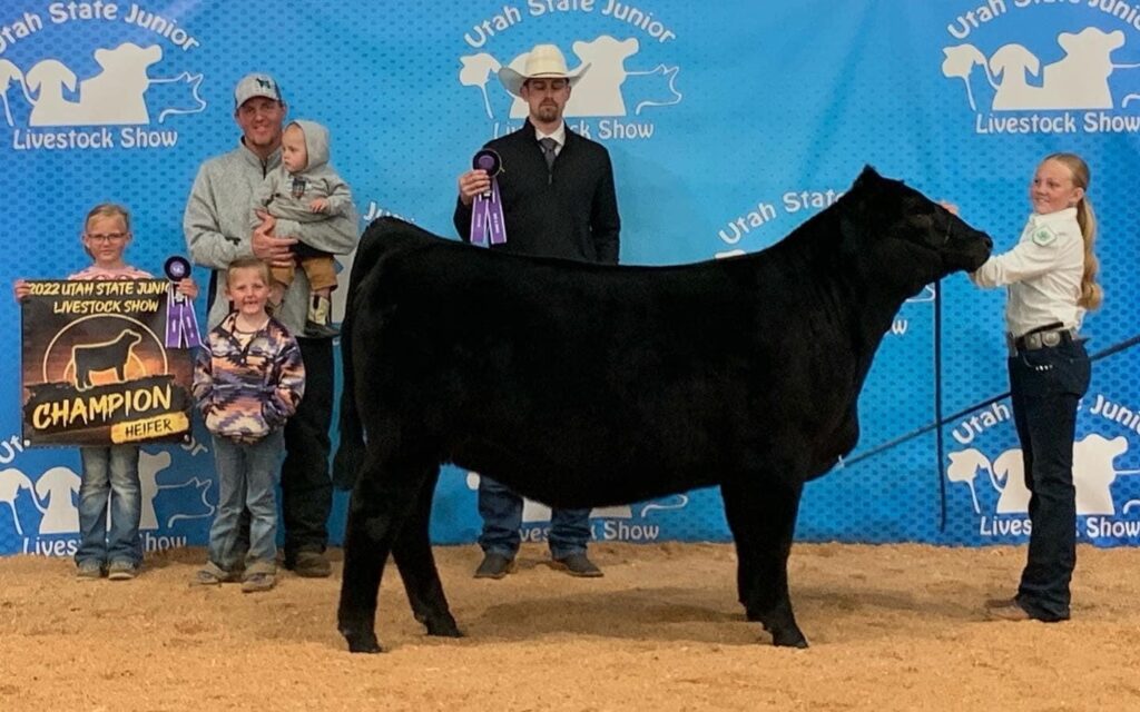 Show Goat Feed & Supplements ShowRite