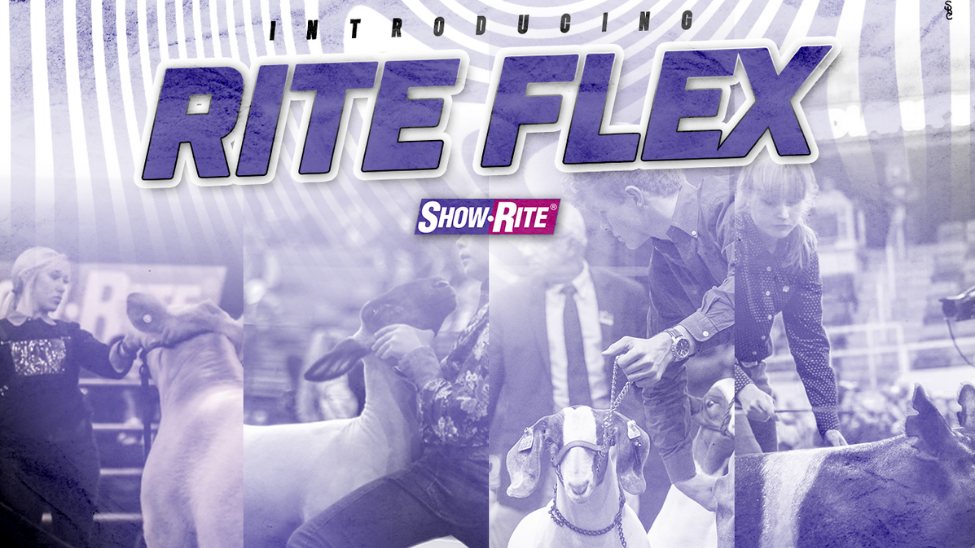 July 2022|Stay on the move with Rite Flex