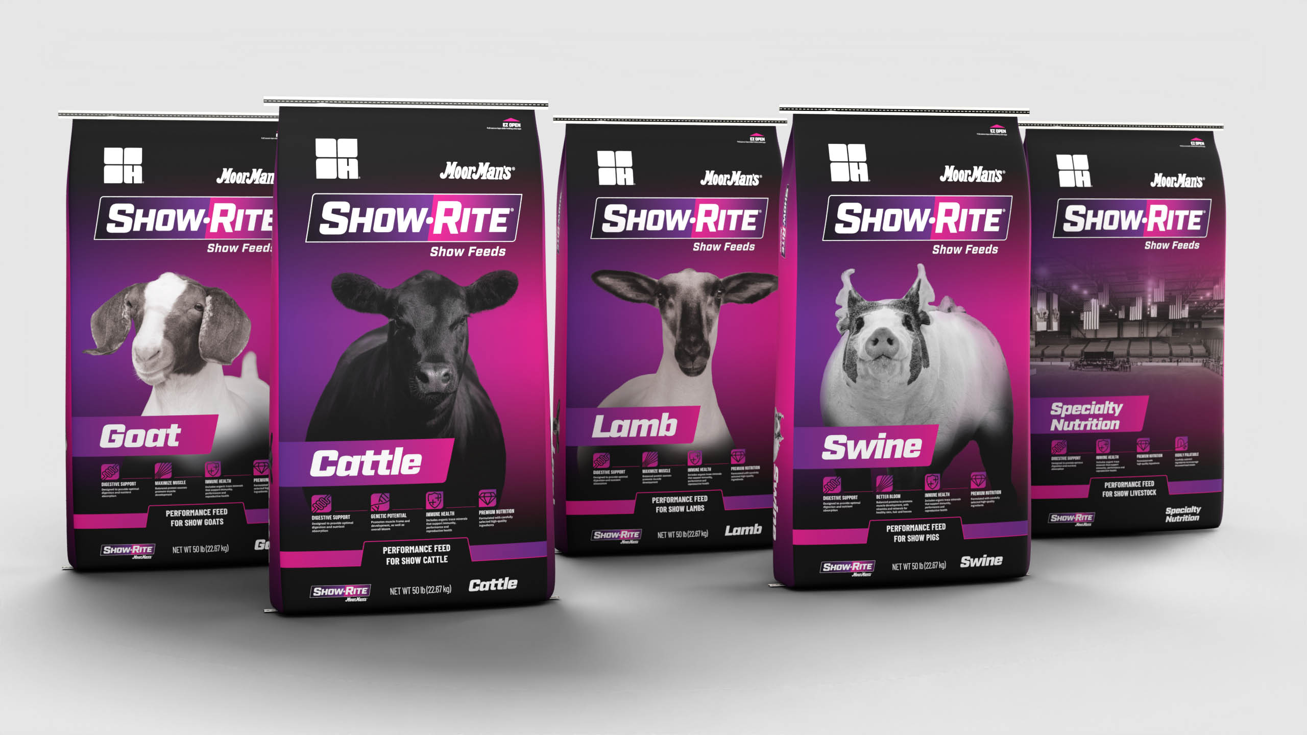 October 2026|Introducing the next generation of show feed