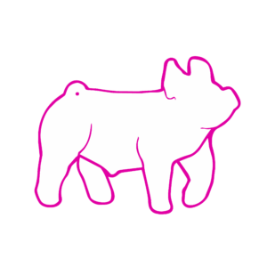 en-us-us-multi-showfeed-show-rite-animalimagesneeded-3809_pink_no logo_2 Show Pig