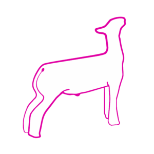 en-us-us-multi-showfeed-show-rite-animalimagesneeded-3809_pink_no logo_4